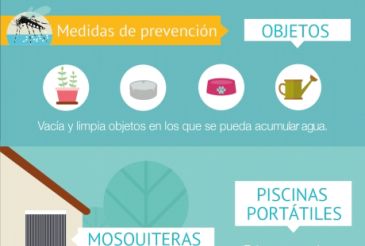 Salud Pública colocará trampas contra el mosquito tigre en cinco municipios turolenses