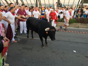 El jabonero promete para los ensogados de la tarde del domingo en el centro de Teruel