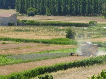 Los agricultores esperan una cosecha “normal” después de cuatro años aciagos