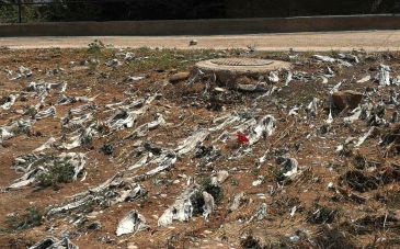 Ganar Alcañiz reclama un estudio del estado de la red de saneamiento para evitar vertidos en el entorno del río