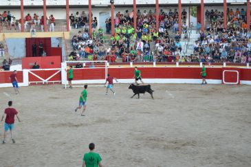 Los animalistas llaman a boicotear el carné de fiestas de Alcañiz