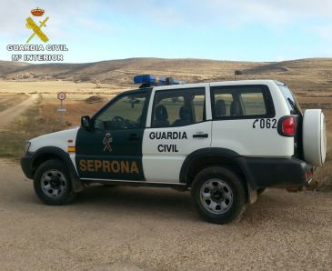 La Guardia Civil imputa a una persona como presunta autora de un envenenamiento de cangrejos americanos en un arroyo de la comarca del Bajo Martín