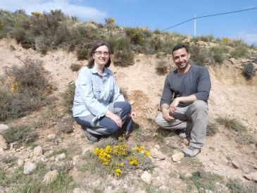 Teruel registró un cambio climático hace 7 millones de años con efectos opuestos a lo esperado