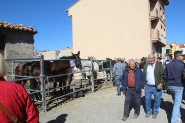 Mora de Rubielos celebra durante este fin de semana su feria agrícola y ganadera