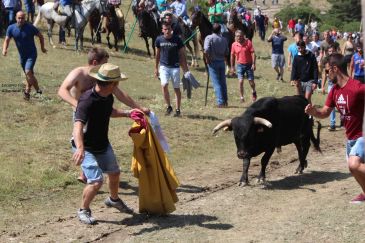 Más de un 40% de los pueblos de Teruel han celebrado festejos con toros en 2018