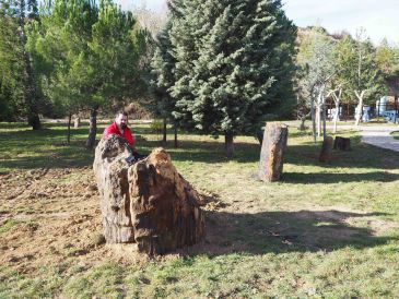 Un sendero de troncos fosilizados amplía el atractivo del Museo Minero de Escucha