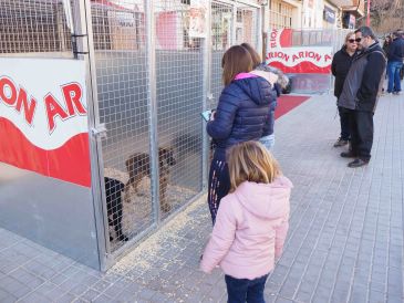 Unas jornadas promueven la adopción responsable de perros en Navidad en Teruel