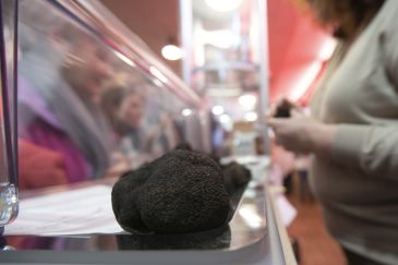 Un restaurante de Valencia recibe de la zona de Abejuela una trufa de 750 gramos,