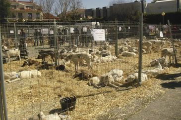 La feria Captur de Calamocha cumple la mayoría de edad