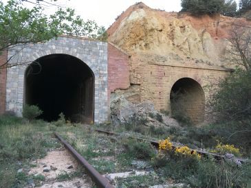 Serranía Celtibérica acude a la Fiscalía para que no se desmantele el tren minero