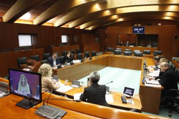Las Cortes pedirán más control tras el accidente mortal de la helitransportada
