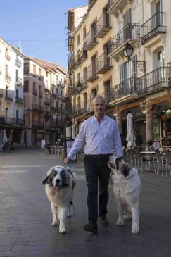 Jesús Sanz, presidente del Club Mastín del Pirineo de España: “El problema del mastín es que no lo puede criar alguien que viva en un piso”