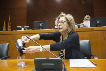 Ventura dice que no hay motivo para retrasar el hospital de Alcañiz y que es