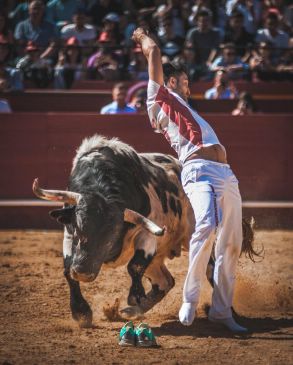 El recortador turolense Iván Sánchez se recupera de tres cornadas sufridas en un concurso fallero