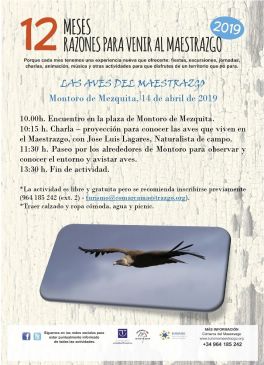 Montoro de Mezquita acoge este domingo la jornada Las Aves del Maestrazgo