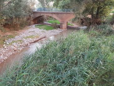 Los vecinos de la Huerta Nueva de Teruel denuncian el mal estado del río
