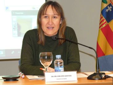 Gema López Lajusticia, presidenta del Colegio de Educadores Sociales de Aragón: “Hacen falta más educadores sociales pero a veces se cubre con otros perfiles”