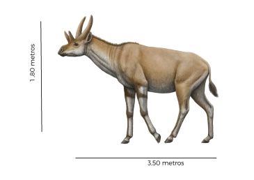 El Pobo acogerá un parque con esculturas de animales del Turoliense