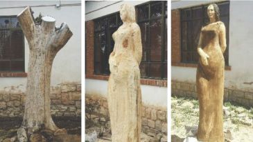 El escultor Luis Pascual transforma un árbol muerto de Fuentes Calientes en un símbolo de esperanza para los pueblos