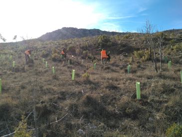 El terrible incendio que calcinó 8.000 hectáreas de la Sierra de Majalinos cumple diez años