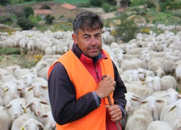 Gonzalo Gargallo Altabás, pastor: “La trashumancia compensa mucho económicamente y se gana en calidad de vida”