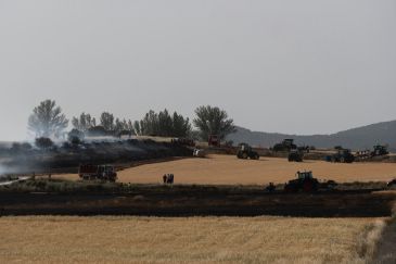 Las cosechadoras causan dos incendios en Blancas y Tornos