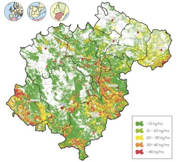 El 57 % del territorio de Teruel tiene setas y se podrían recoger hasta 11.500 toneladas al año