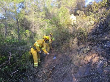 Teruel, la provincia aragonesa con menos hectáreas quemadas por incendios forestales en 2019