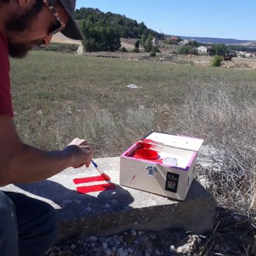 Arranca la campaña de revisión de la señalización senderista del Camino del Cid