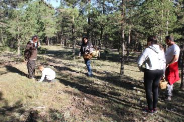 La comarca del Maestrazgo prepara la campaña micológica, que se presenta incierta