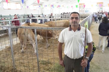 Javier Tenías, ganadero y presidente de la asociación Blonde Aquitania de Aragón: “En la Feria de Cantavieja viene el ganadero interesado y se cierran acuerdos”