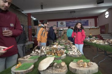 Gúdar reúne en su Feria Micológica a 147 personas y 100 especies diferentes