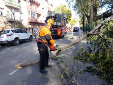 Los bomberos de Teruel retiran una rama que amenazaba con caer sobre la calzada