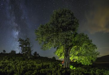 Tomás Plaza gana el IV Concurso de Fotografía Comarca del Maestrazgo