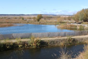 La laguna de El Cañizar vuelve a tener agua y recupera poco a poco la avifauna