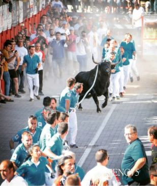 Amigos de la Soga y Baga de Teruel recibe el premio a la mejor exhibición del Congreso Nacional del Toro de Cuerda de 2019