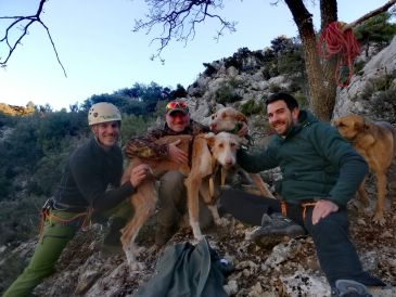 Una lección de arrojo para ayudar a tres valientes perros que cayeron a un barranco