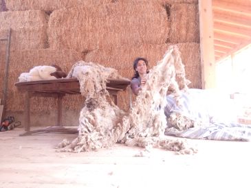 Marta Fernández, emprendedora ecológica: “Queremos divulgar la lana, valorizarla y darle la vuelta a los usos tradicionales”