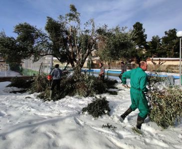 La Comarca del Matarraña pide que se declare zona afectada gravemente tras el paso de la borrasca Gloria