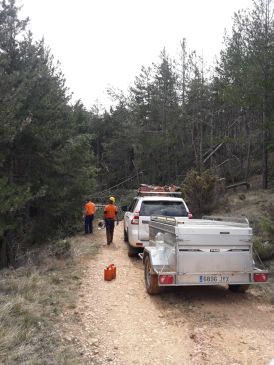 Cuencas Mineras y Jiloca limpian los daños forestales causados por la borrasca Gloria