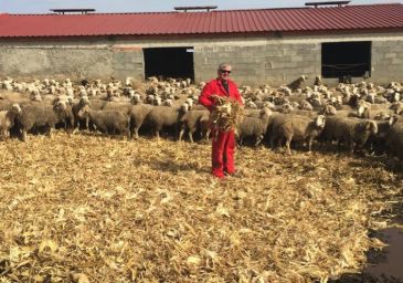 El sector agropecuario de la provincia redobla sus esfuerzos para garantizar el suministro de alimentos