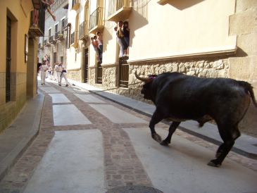 El toro de soga de Rubielos de Mora ya es Fiesta de Interés Turístico de Aragón