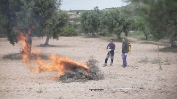 El Gobierno de Aragón facilita el trámite para las quemas de restos de poda de olivos