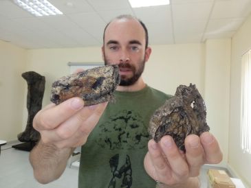 Dinópolis exhibe la tortuga cuyo grupo se extinguió con el asteroide que acabó con los dinosaurios