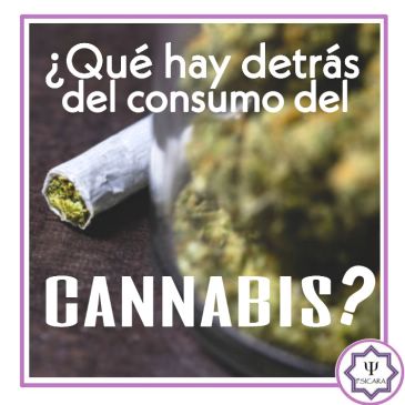 ¿Qué hay detrás del consumo de cannabis?