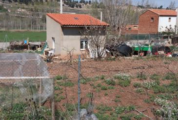 El Gobierno permite actividades en los huertos individuales desde este jueves