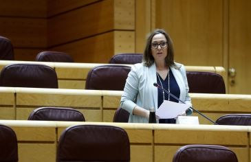 Mayte Pérez reclama en el Senado una financiación adecuada para los servicios