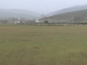 Uaga estima que los ciervos causan en la sierra de Albarracín daños en entre un 50% y un 60% de la cosecha