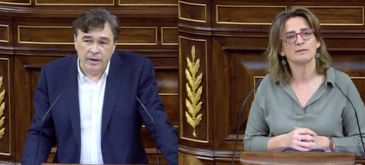 Guitarte pide un plan especial para la España Vaciada en el Congreso
