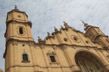 Las cigüeñas se adueñan de las alturas y colonizan la iglesia de Santa María de Alcañiz